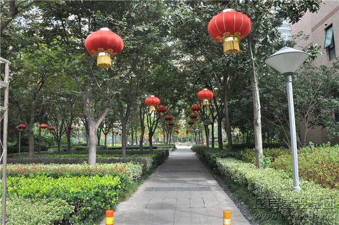 优惠活动办理大厅 - 首页