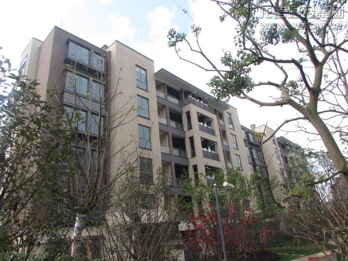 优惠活动办理大厅 - 首页