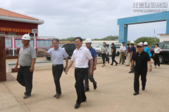 新闻资讯_优惠活动办理大厅有限公司-衡宇修建工程总承包|全装修品牌向导者|国家住宅工业化基地