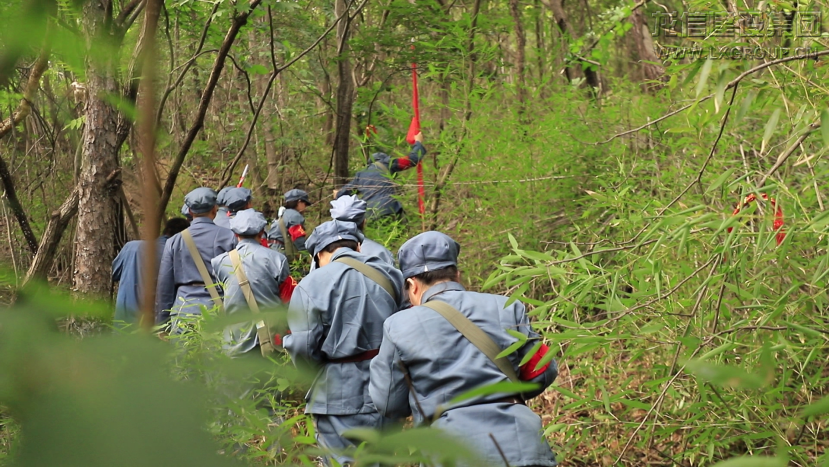 优惠活动办理大厅 - 首页