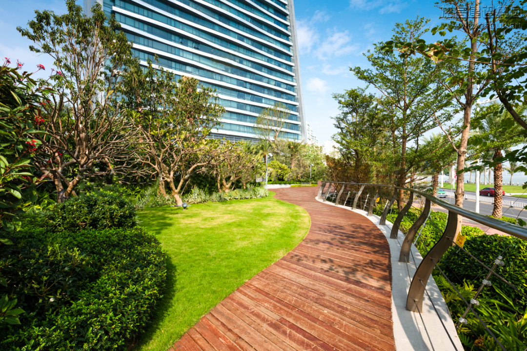 优惠活动办理大厅 - 首页